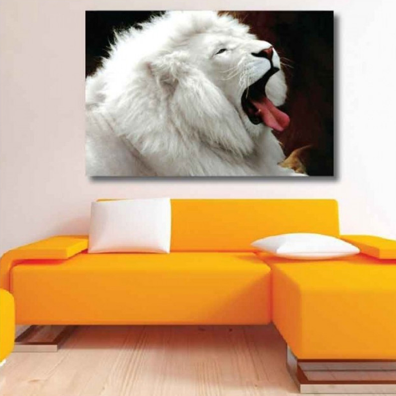 Πίνακας σε καμβά με Ζώα λευκό λιοντάρι